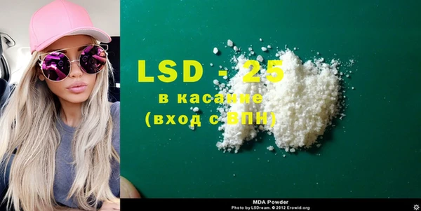 ECSTASY Бородино